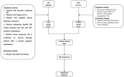 Amide proton transfer weighted contrast has diagnostic capacity in detecting diabetic foot: an MRI-based case–control study